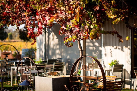 Jones Winery & Vineyard - Pubs Sydney 0