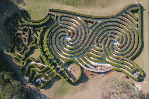 Bago Maze And Wine - Pubs Sydney 0