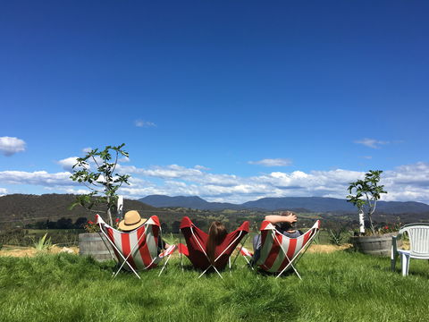 Red Feet Wines - Pubs Sydney 0
