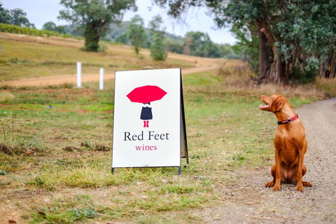 Red Feet Wines - Pubs Sydney 2