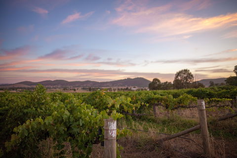 Thistle Hill Wines - Pubs Sydney 2