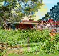 Barangaroo Boutique Wines - Pubs Sydney