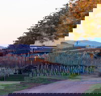 Rowlee Wines - Pubs Sydney