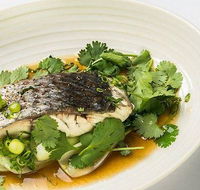 The Mossy Cafe - Pubs Sydney