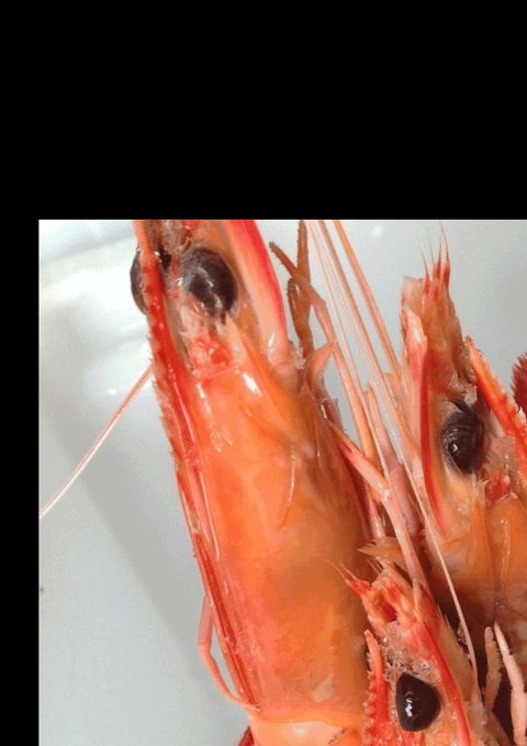 The Prawn Shack - Pubs Sydney 0