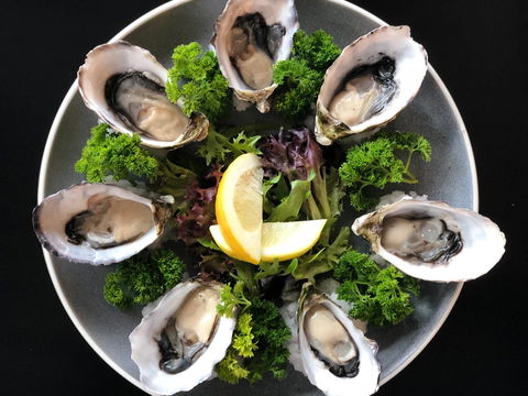 The Wharf At Port Fairy - Pubs Sydney 1