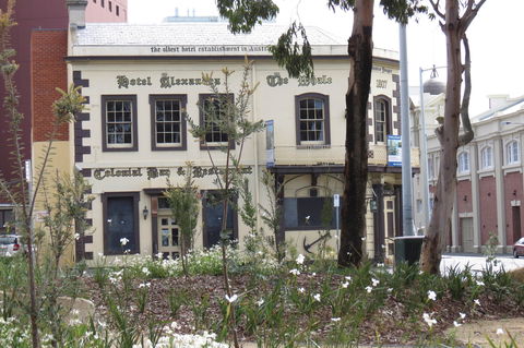 Hope & Anchor Tavern - Pubs Sydney 0
