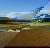 Thomson Brook Wines - Pubs Sydney