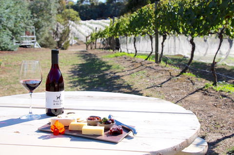 Every Man And His Dog Vineyard - Pubs Sydney 1
