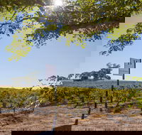 Hayes Family Wines - Pubs Sydney