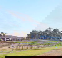 Blacklea Vineyard and Olive Grove - Pubs Sydney