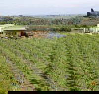 Dindima Wines - Pubs Sydney