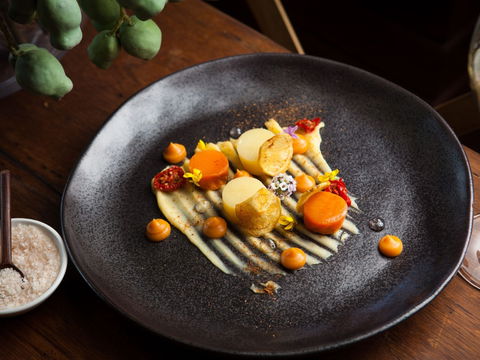 The Peak Restaurant At Spicers Peak Lodge - Pubs Sydney 2