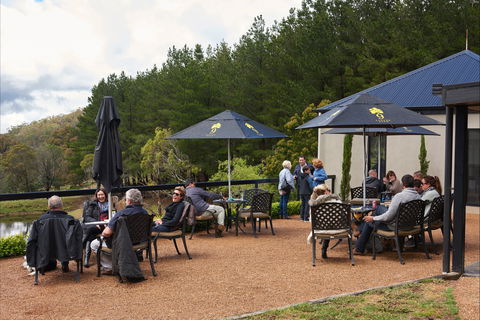 Cloud 9 Farm - Pubs Sydney 2
