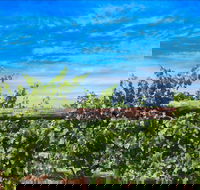 Rowsley Fault Vineyards - Pubs Sydney
