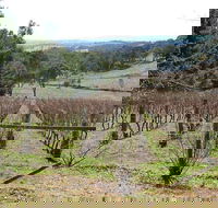 Habitat Vineyard - Pubs Sydney