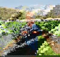 Hillwood Berries Farmgate  Pick Your Own - Pubs Sydney