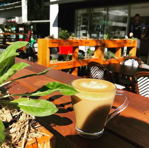 Apothecafe - Pubs Sydney 0