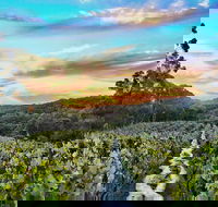 Between the Vines Cellar Door - Pubs Sydney