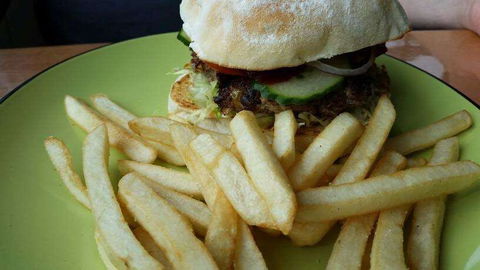 Hungry Wombat Cafe - Pubs Sydney 0