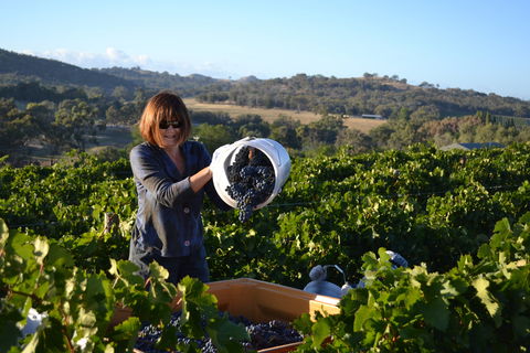 Serengale Vineyard - Pubs Sydney 2