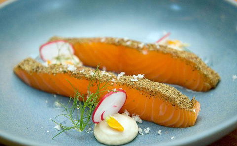 The Shed Cafe Hurstville - Pubs Sydney 9