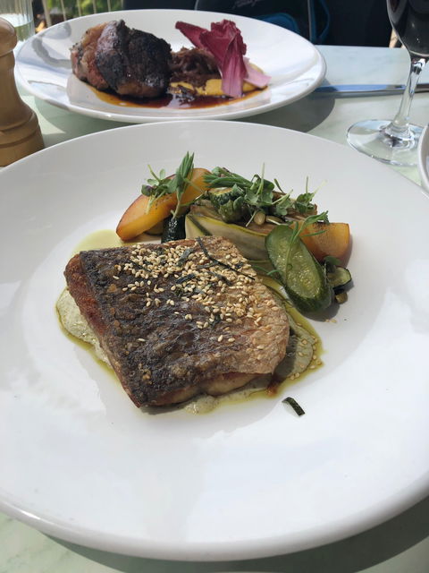 Wise Vineyard Restaurant - Pubs Sydney 6