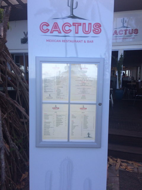 Cactus - Pubs Sydney 1