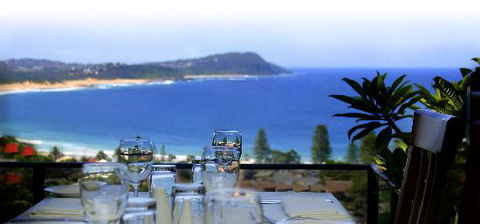 The Cowrie - Pubs Sydney 0