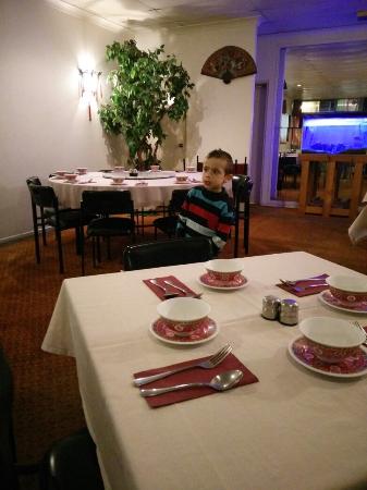 Hong Kong Seafood Restaurant - Pubs Sydney 0