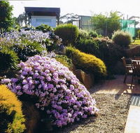 Pipers River Tea House and Crafts - Pubs Sydney