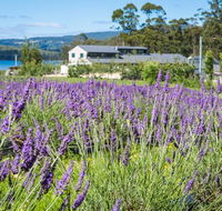 Port Arthur Lavender - Pubs Sydney