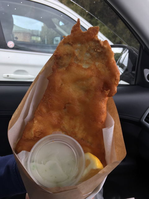 The Fish. Van - Pubs Sydney 1