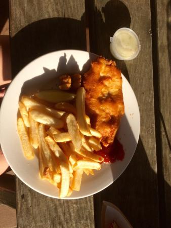 The Fish. Van - Pubs Sydney 0