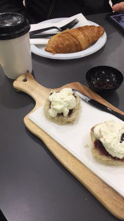 Wilderness Espresso - Pubs Sydney 0