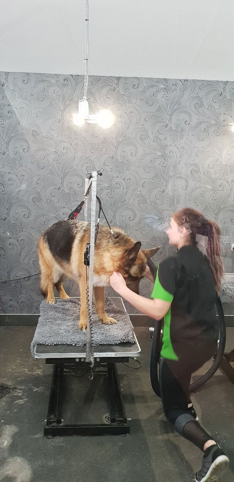 FurBaby Boutique & Cafe - Pubs Sydney 9