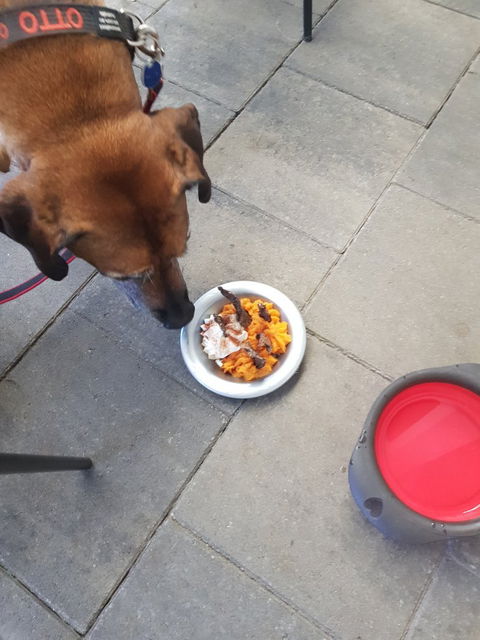 FurBaby Boutique & Cafe - Pubs Sydney 13