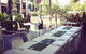 Lime Tree Bar & Restaurant - thumb 10