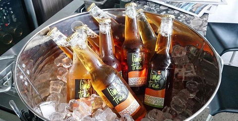 Lime Tree Bar & Restaurant - Pubs Sydney 13
