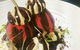 Lime Tree Bar & Restaurant - thumb 16