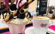 Shark Bay Cafe - thumb 0