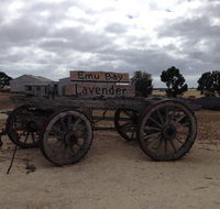 Emu Bay Lavender - Pubs Sydney