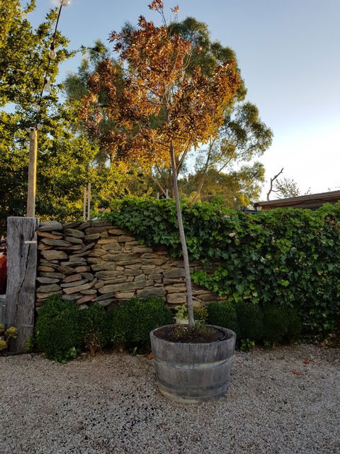 Barristers Block Cellar Door - Pubs Sydney 2