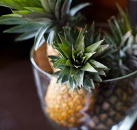 The Caf Coolum - Pubs Sydney