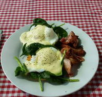 The Shed Cafe - Pubs Sydney