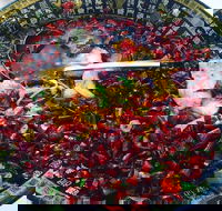 Red Chilli Sichuan Burwood - Pubs Sydney