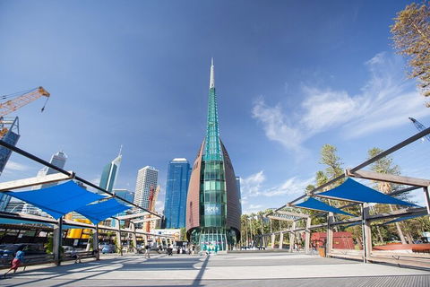 Perth Scavenger Hunt: Perched On A Swan - Pubs Sydney 3