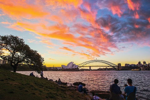 Private Tour: Sydney City Highlights - Pubs Sydney 3