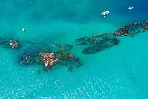 Private Tangalooma Wrecks Tour - Pubs Sydney 0
