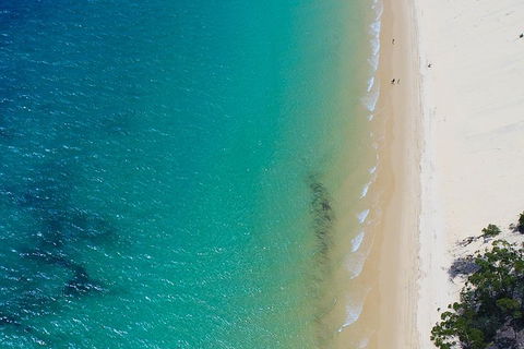 Private Tangalooma Wrecks Tour - Pubs Sydney 1